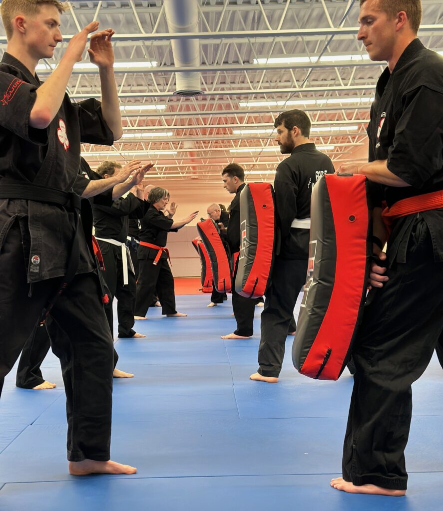 Kajukenbo: the ultimate Martial Arts