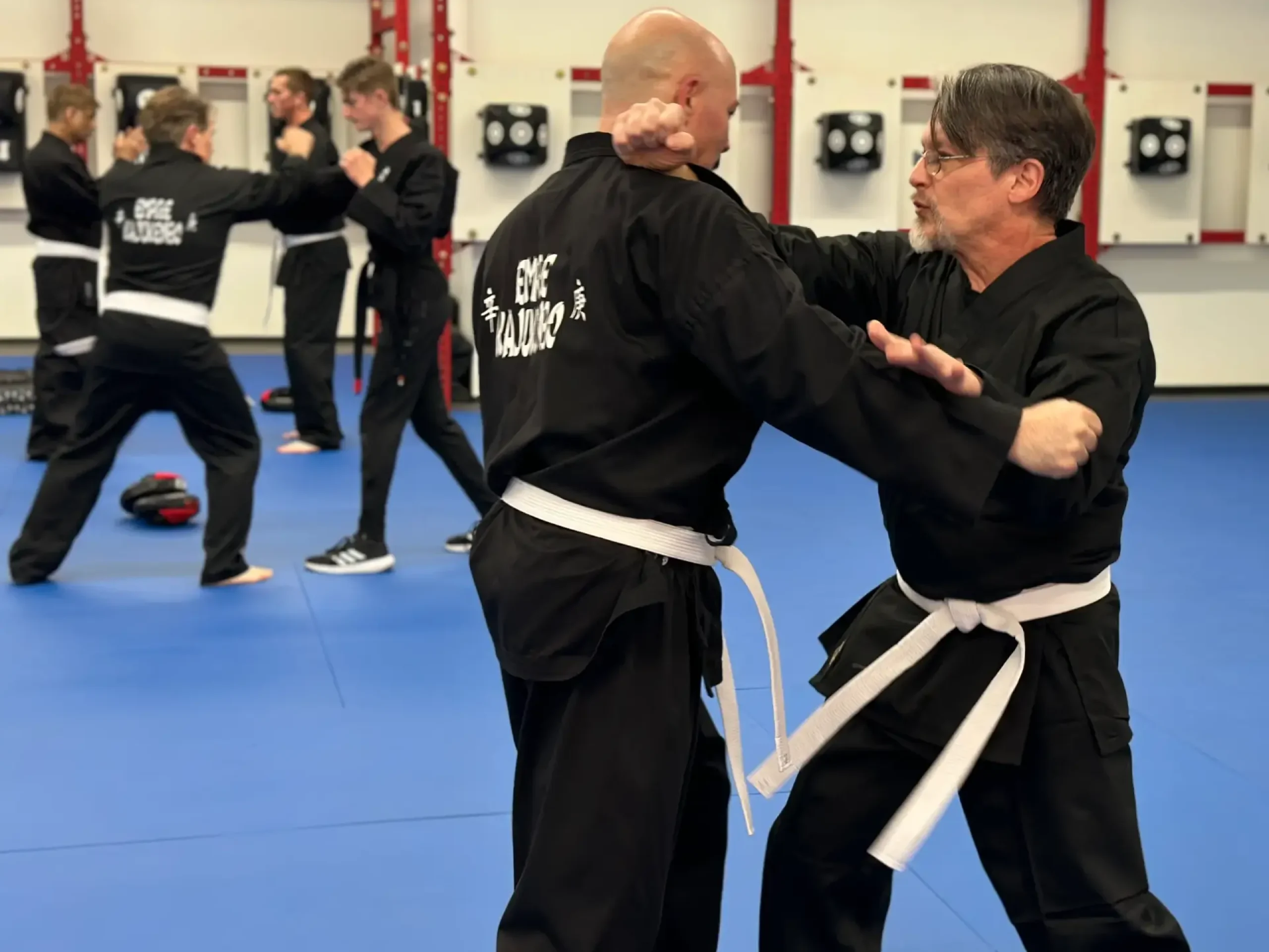 Kajukenbo #1 in Self Defense